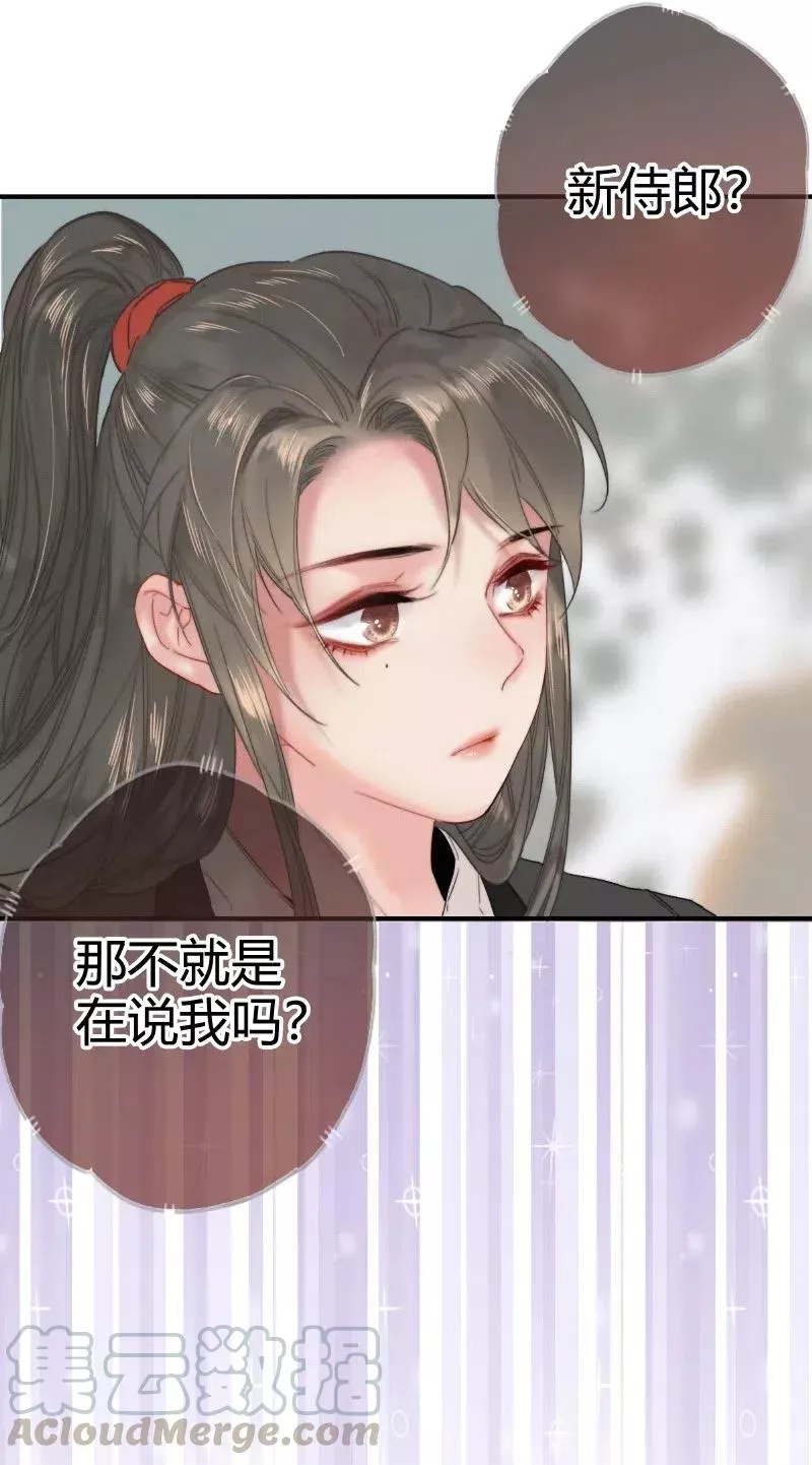 025 替师傅清理门户6