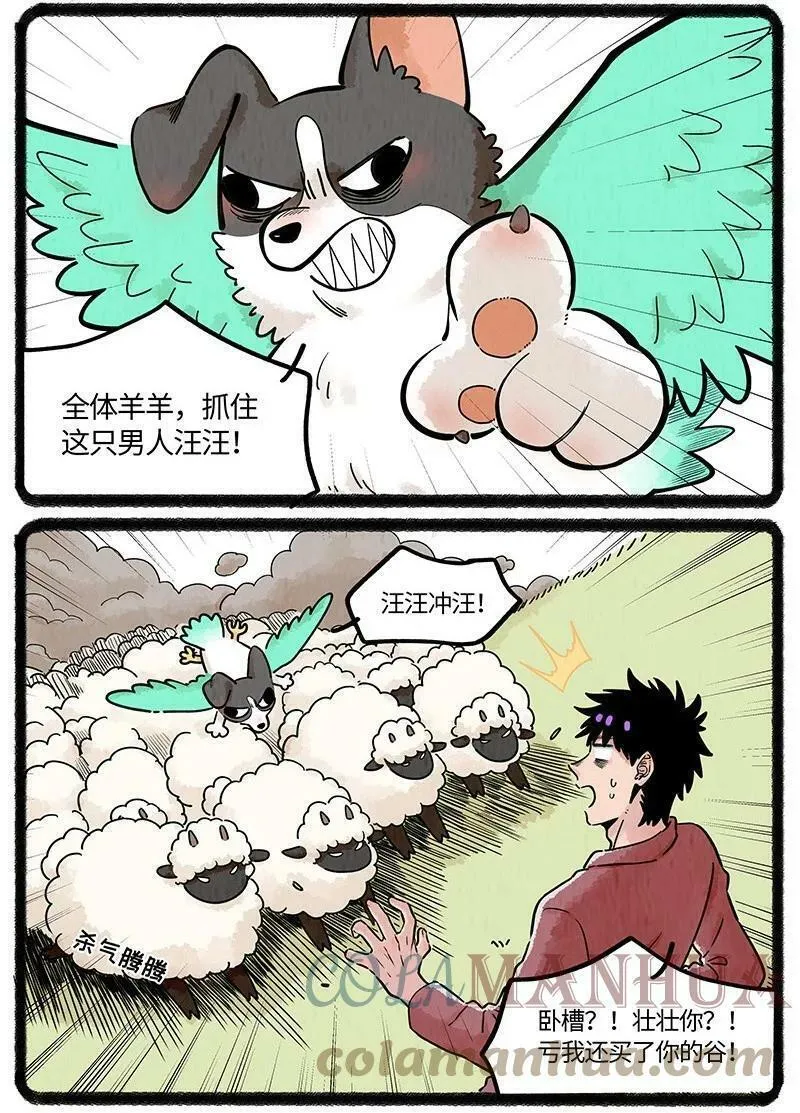 037 小羊来了12