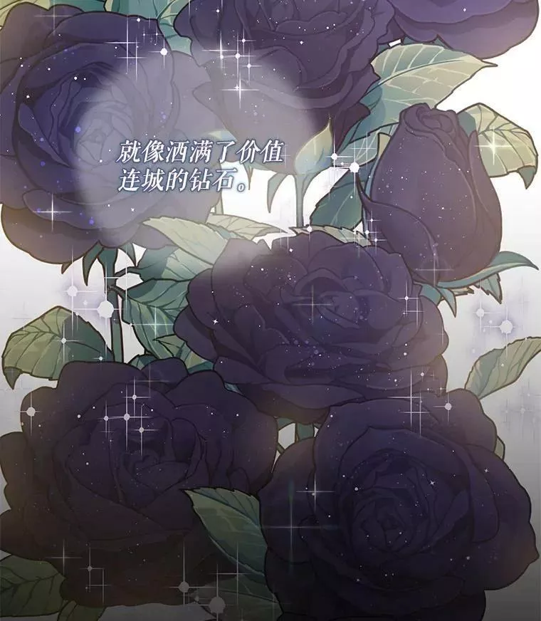 32.黑玫瑰2