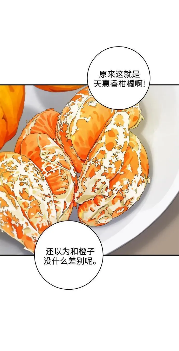 [第120话] 天惠香柑橘，丑橘16