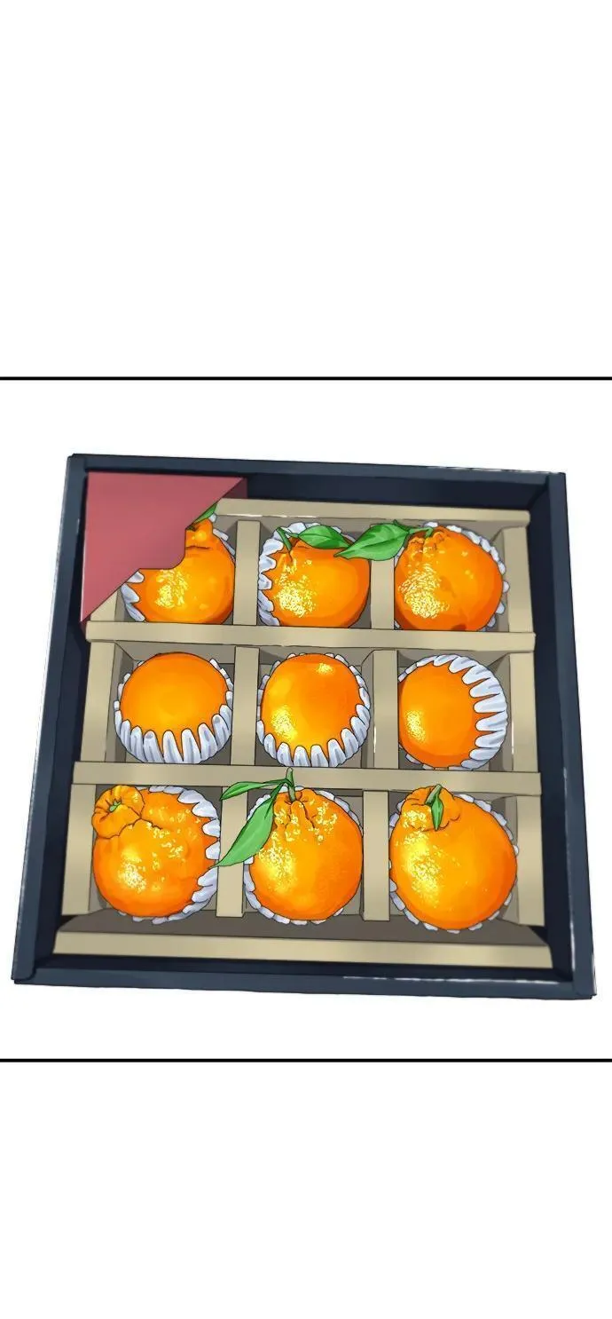 [第120话] 天惠香柑橘，丑橘8